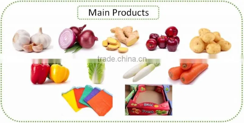 Plastic PP HDPE Woven Leno Raschel Mesh Bag For potato, Onion, fruit
