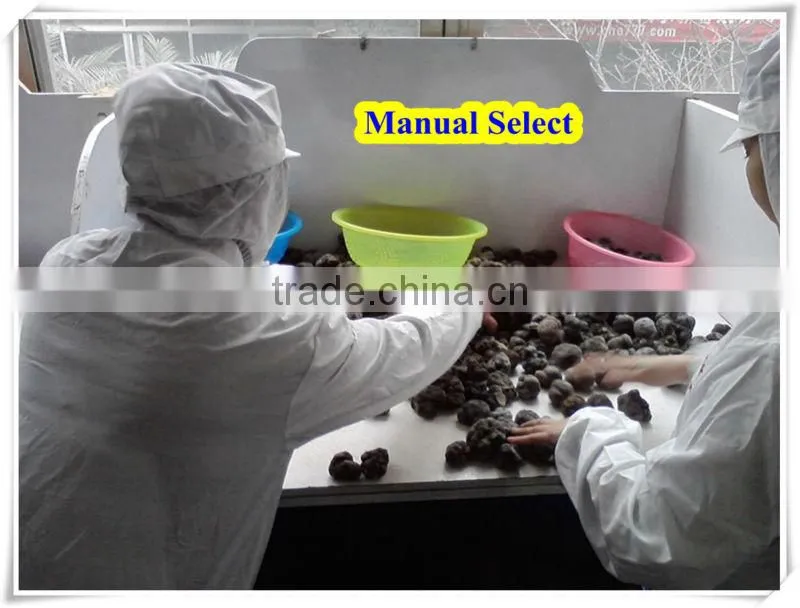 frozen whole truffle