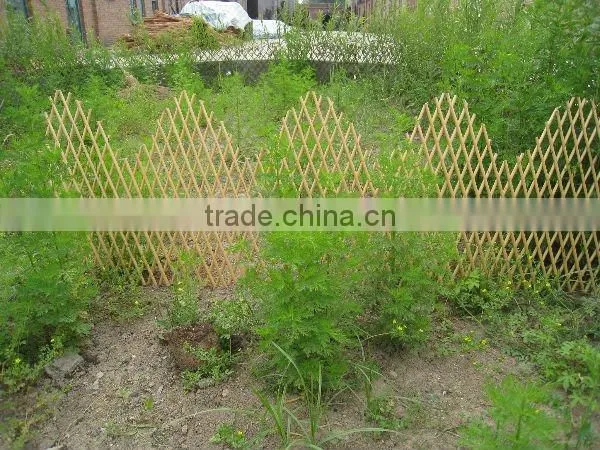 willow trellis,willow hurdle,wattle trellis