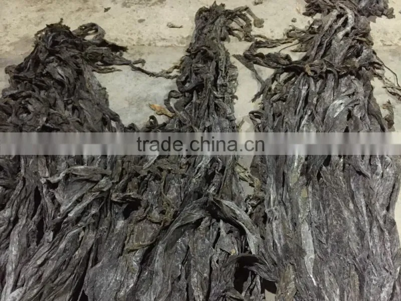 Hot Kelp Raw Material,Dry Laminaria