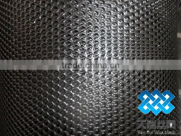 Plastic net