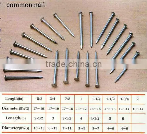 Q215 Building Nails