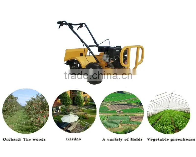 Economic RT65 6.5Hp tiller/Rotary tiller for garden and farm
