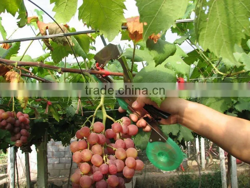 2014 new design grape vine tapetool/tapener
