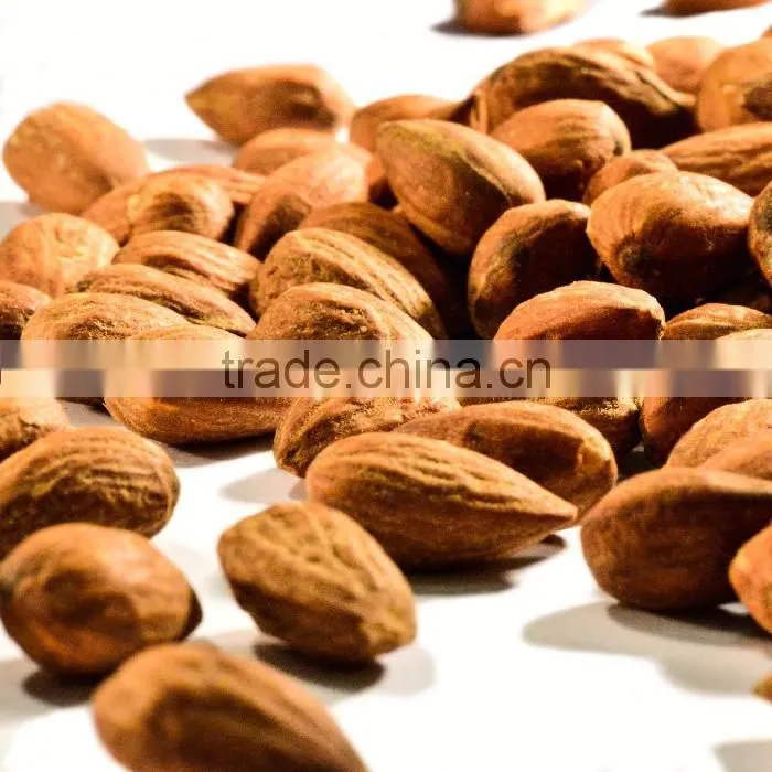 Industrial Roasted Almonds Drying Equipment