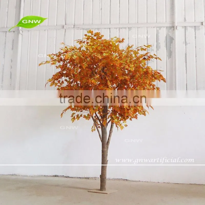 GNW BTR161031-002 8ft Maple tree landscaping Autumn maple tree