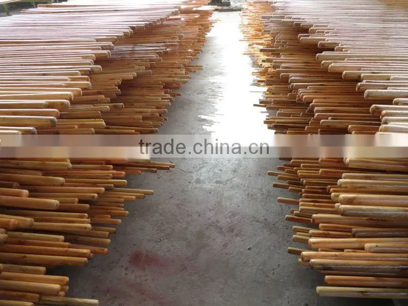 Plastic broom with handle