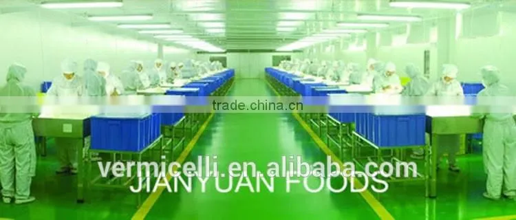 Chinese Instant Rice Vermicelli