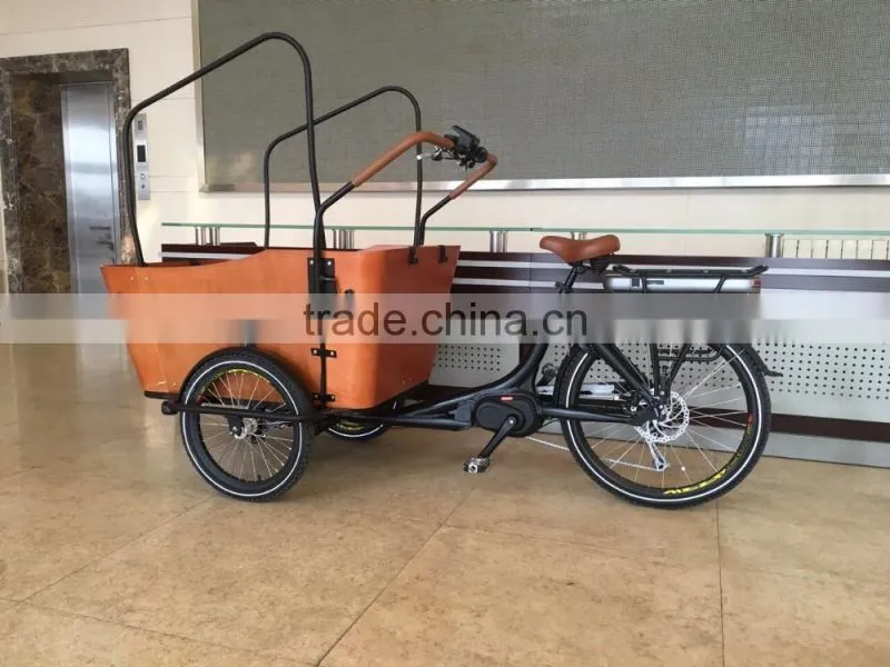Electric tricycle bikes