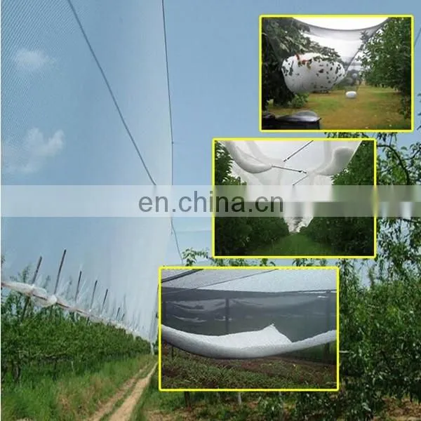 Construction Safety Net /Export Sun Shade Net