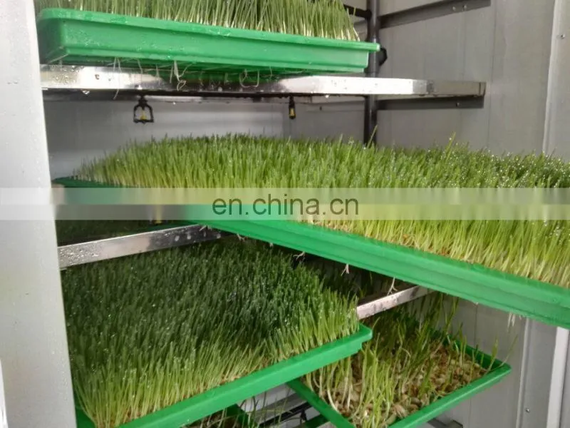 Commercial rabbits fodder making machine / hydroponic culturing barley breeding machine for sale