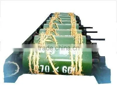 Pinch roller for conveyor belt