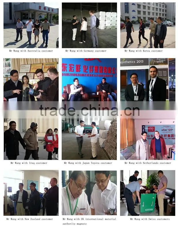 China Fiber Glass Mat Factory/E-glass fiber Mat/Fiberglass Mat 80g *
