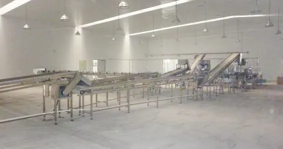 Canned Red Bean and Red Kidney Bean Production Line