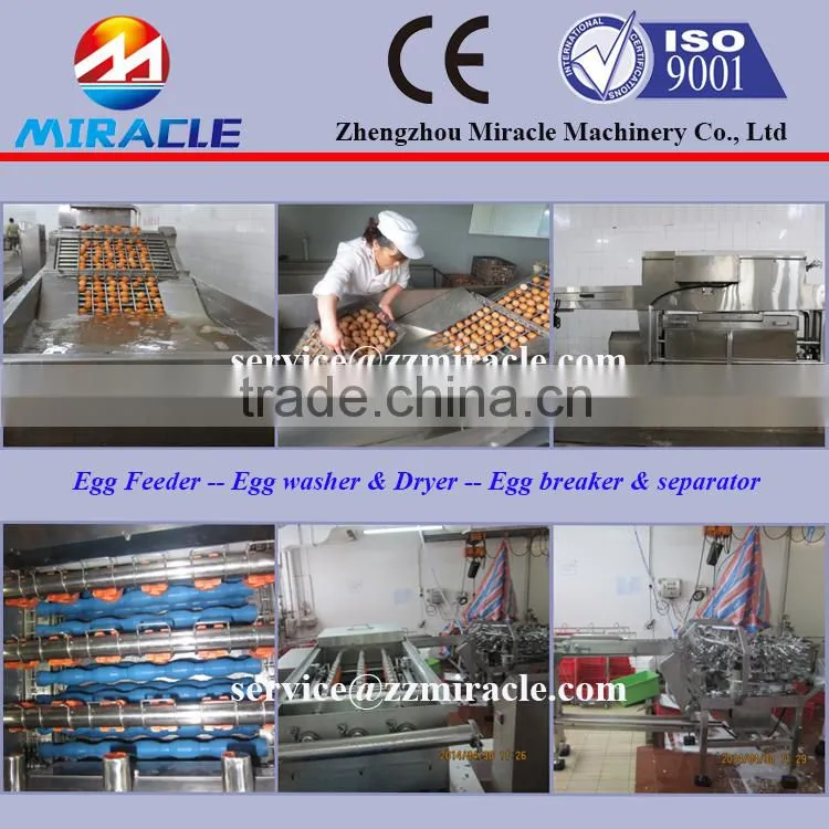 Liquid egg process plant breaking and separating eggs machine