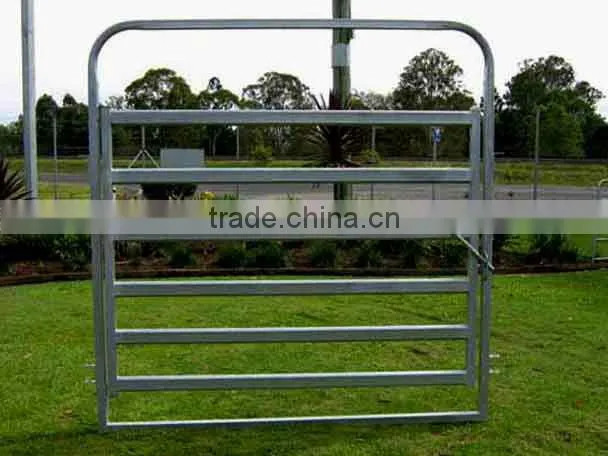 galvanised 40x40 SHS RAIL cattle panel
