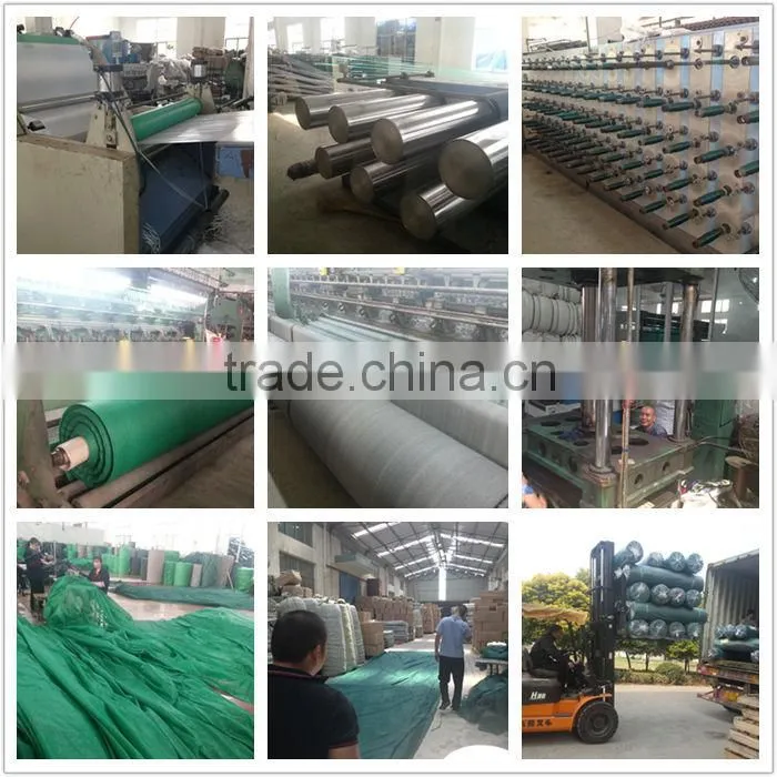 100% new hdpe green safety net in 270gsm 250gsm 200gsm 150gsm