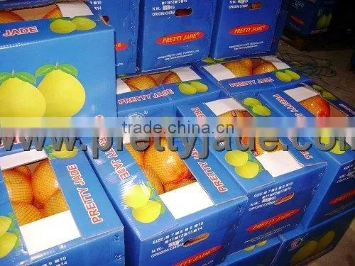 fresh honey pomelo(thin skin)