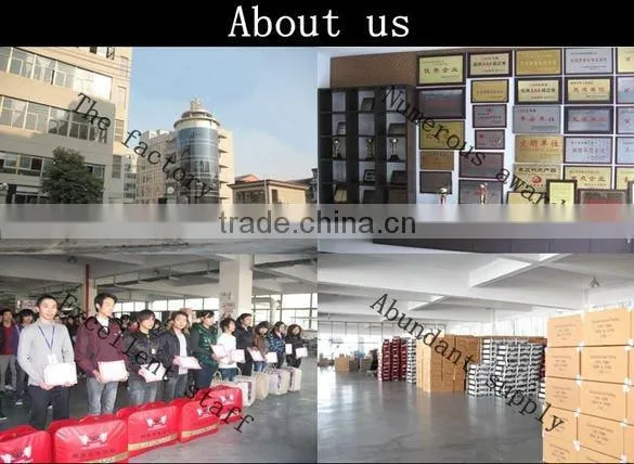 2013 chinese shoes
