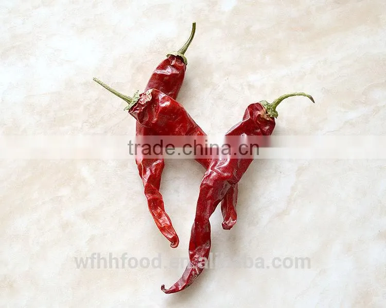 dry red chilli