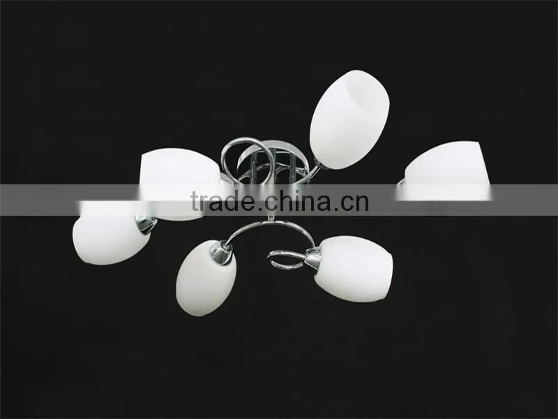 Flower lamp ceiling fixture for 2015 with new products