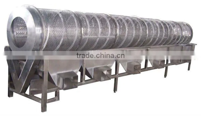 mushroom classifying machine/Auto vegetable&fruit classifying machine
