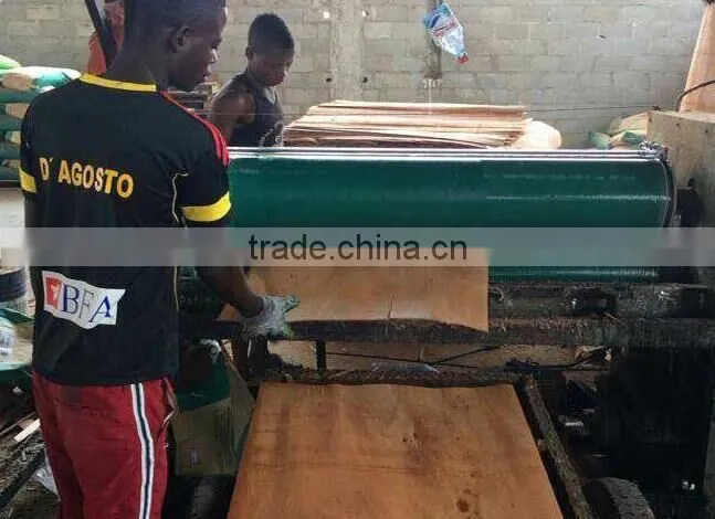Series Veneer Glue Machine/Glue Spreader for Various Customers