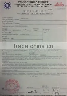 Animal Corn Gluten Meal from China to Korea and Malaysia