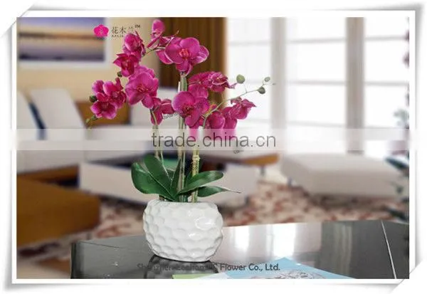 wholesale factory price plastic flower hot sale