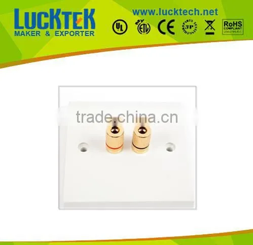2 post RCA Speaker connection Single Gang Wall Plate socket