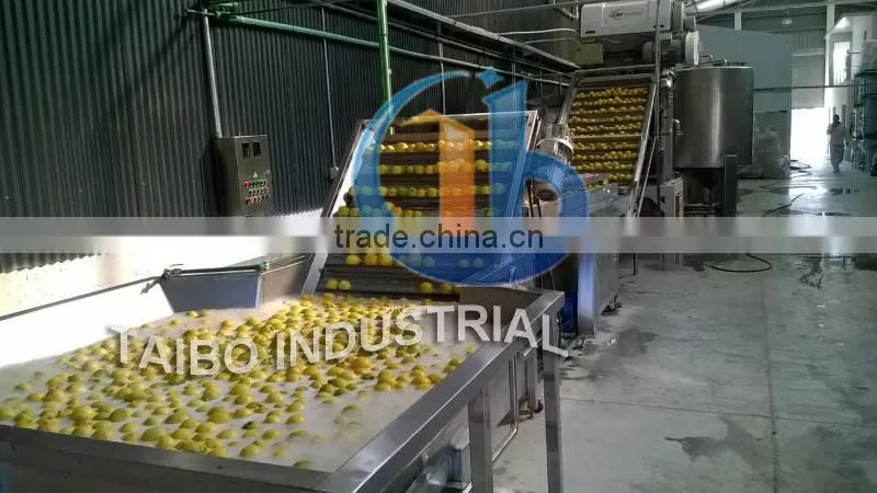 Washing tank for fruits for berry cleaning machine/ washing of apples