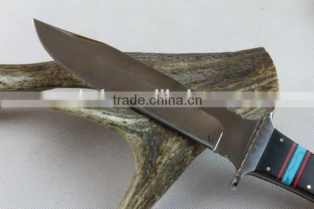 OEM fixed blade Collection knife with mirror surface