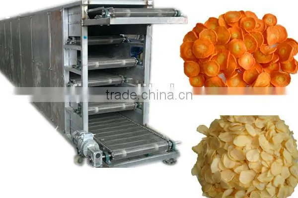 vegetable and fruit drying conveyor belt dryer equipment machine for sale