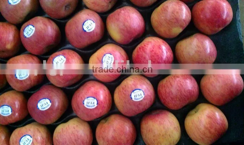 red Fuji apple