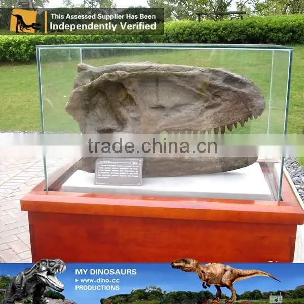 MY Dino-C085 Resin dinosaur head skeleton