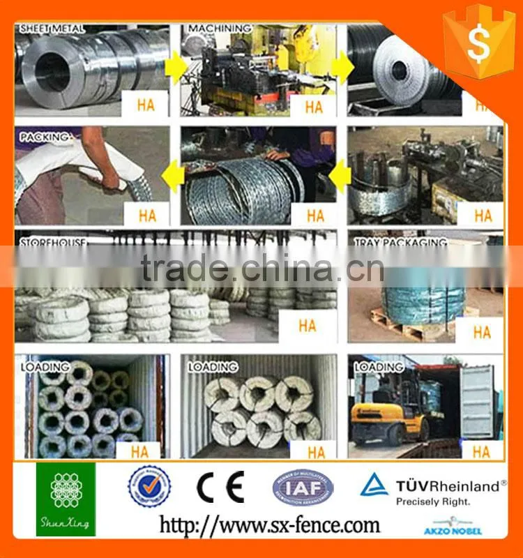 Alibaba diamond razor wire mesh fence/welded wire mesh fencing/pvc coated razor barbed wire