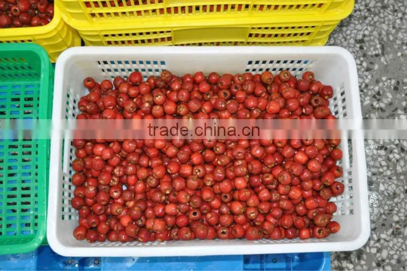 In order to healthy select organic health quick-frozen hawthorn berry fresh fruit