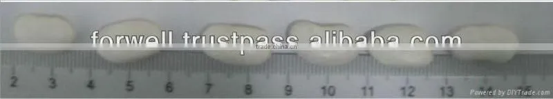 white kideny beans ( sizes 180-200 / 200-240/ 240-260)