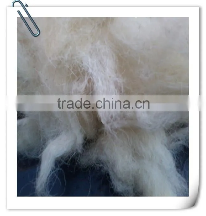 Spring promotion Comber noil for Carpet and Mattress making