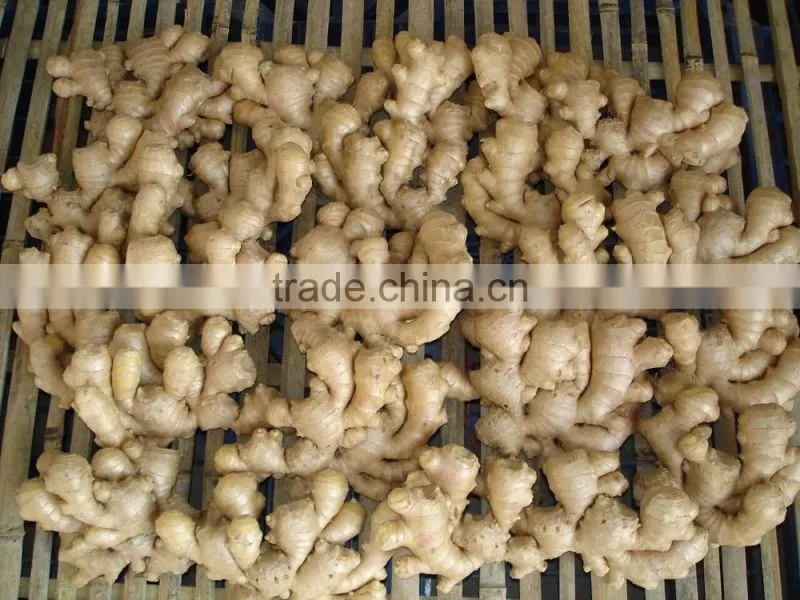 ginger root price