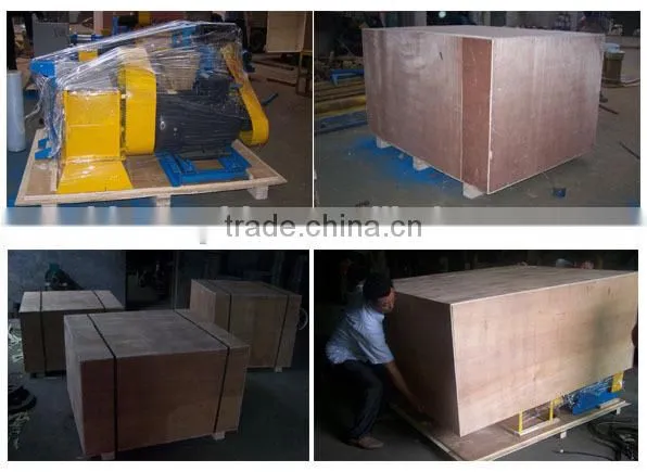 Dry and Wet Type fish feed making machine for India
