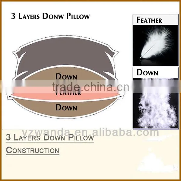 Luxury Home Goose Down Pillow, Pillow Inner, Pillow Insert, Pillow Pad