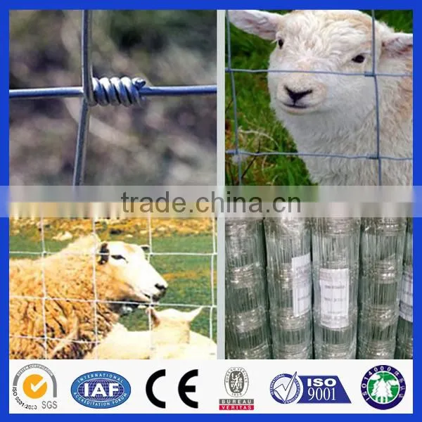 China Hot Sell grassland fencing/field fence,Wovening Wire Netting ,Farm Filed Fence