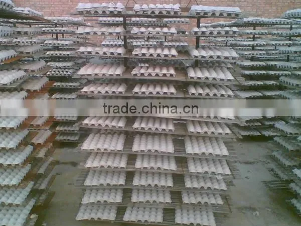 Egg Tray