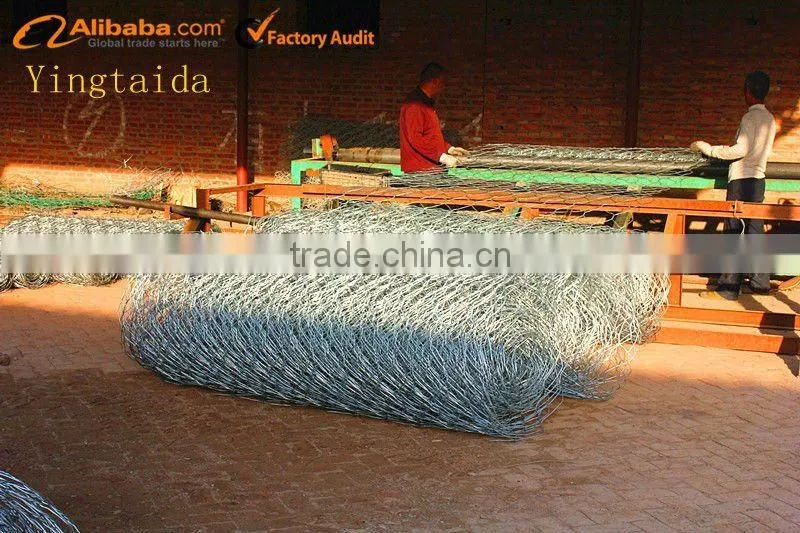 Wire Mesh,hexagonal wire mesh