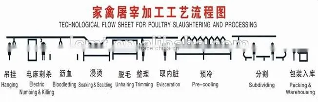 chicken slaughtering machine meat processing machinery