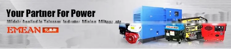 Popular 6.5hp engine portable gasoline power sprayer 4 stroke