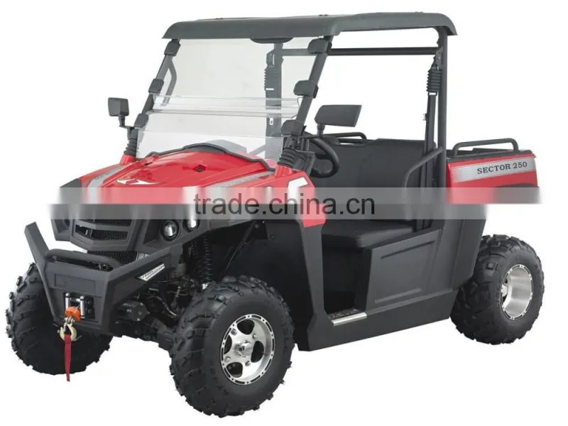 250cc 12KW EFI engine UTV Utility Vehicle (TKU250E-2B)