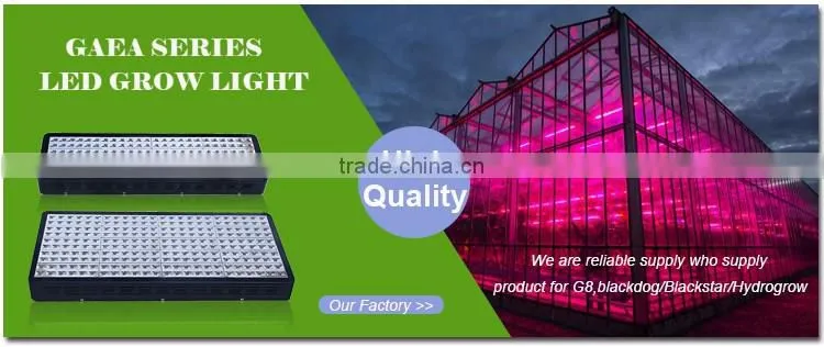 Hight Quality High Power Led Herb Gorw Light From Shenzhen Factory