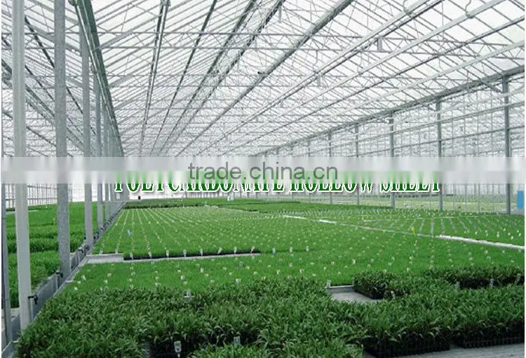 Guangzhou BEGREEN clear twinwall polycarbonate sheet, plastic roofing panels